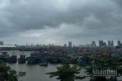Tàu cá ngư dân miền Trung về tránh trú bão số 12. (Ảnh: ANH ĐÀO)