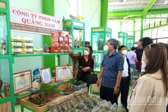 Lãnh đạo thành phố Đà Nẵng khảo sát, tìm hiểu tại Lễ hội Sâm Ngọc Linh lần thứ VI năm 2024. (ảnh: ĐÌNH TĂNG)
