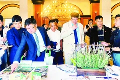 Đối tác Hàn Quốc tìm hiểu về du lịch Đà Lạt-Lâm Đồng.