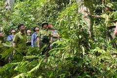 Lực lượng kiểm lâm địa bàn xã Sín Thầu cùng nhân dân tuần tra bảo vệ rừng.