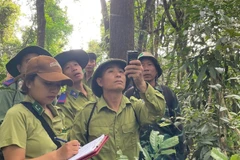 Cán bộ Ban Quản lý Khu dự trữ thiên nhiên Mường Nhé cùng lực lượng kiểm lâm, nhân dân trên địa bàn tuần tra rừng.