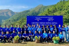 Mỗi cây xanh được trồng là một "lá chắn" bảo vệ hệ sinh thái, thể hiện tinh thần xung kích của tuổi trẻ trong phục hồi rừng đầu nguồn và xanh hóa đất nước.