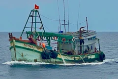 Tàu cá có ngư dân bị thương do rắn biển cắn.