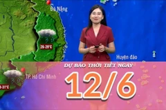 [Video] Dự báo thời tiết ngày mai 12/6/2025: Hoàn lưu bão số một gây mưa lớn tại nhiều khu vực