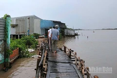 Người dân Khóm Sa Phô, xã Đất Mới, tỉnh Cà Mau thấp thỏm khi sống dọc tuyến sông Cửa Lớn, không biết nhà cửa sẽ bị sông nhấn chìm lúc nào. 