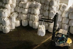 Công ty Nhôm Đắk Nông - TKV phấn đấu mục tiêu đạt 700 nghìn tấn alumin quy đổi trong năm 2026.