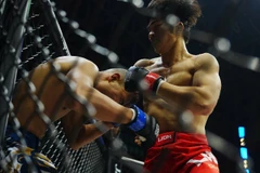 MMA Việt Nam sẽ tham dự Giải vô địch châu Á 2026.