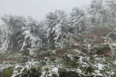 Ảnh minh họa: Trung tâm Dự báo khí tượng thủy văn quốc gia.