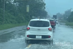 Ảnh minh họa: Đ.T