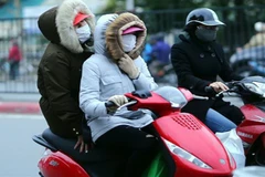 Ảnh minh họa: TTXVN