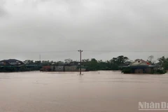 Xã Cẩm Duệ (Hà Tĩnh) đã có hơn 1.500 nhà dân bị ngập nước, 46 tuyến đường liên thôn, liên xã chìm trước mưa lũ. (Ảnh: Ngô Tuấn)