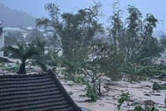 Nhiều khu vực ở xã Đồng Xuân, Đắk Lắk, bị ngập nặng. (Ảnh: CÔNG LÝ)