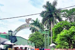 Khu sinh thái Vĩnh Hưng bỏ hoang nhiều năm.