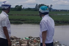 Phát hiện nhiều xác heo chết không rõ nguyên nhân, từ đâu vứt ra kênh mương.