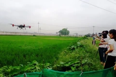 Sử dụng thiết bị bay không người lái để phun thuốc bảo vệ thực vật. 