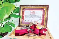 Bằng công nhận kỷ lục.