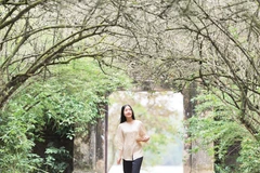 Phim tài liệu Nàng thơ xứ Huế.