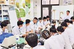 PGS, TS Nguyễn Khởi Nghĩa hướng dẫn sinh viên tham gia nghiên cứu dự án.