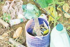 Các loại vỏ thuốc bảo vệ thực vật vứt tại vườn. Ảnh: Nam Anh