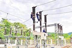 Dự án điện sinh khối giúp Cần Thơ hướng đến tăng trưởng xanh, bền vững. Ảnh: VNPD