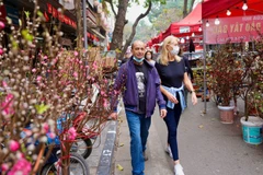 Chợ hoa xuân phố cổ Hà Nội không chỉ thu hút người dân thành phố, mà còn là điểm đến của khách quốc tế.