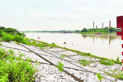 Nhiều tuyến đê trên hệ thống sông Hồng và sông Thái Bình được đầu tư kè đá chắc chắn.