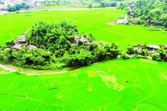 Bức tranh thơ mộng từ những mái nhà sàn ở xã Nghĩa Đô.