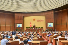 Quốc hội thảo luận về kết quả giám sát việc giải quyết kiến nghị của cử tri, xem xét công tác tổ chức, nhân sự