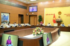 Hướng dẫn về tổ chức, hoạt động của Đoàn đại biểu Quốc hội, Hội đồng nhân dân cấp tỉnh, cấp xã sau sắp xếp