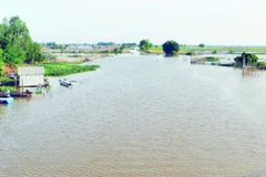 Mùa nước nổi ở vùng đầu nguồn sông Tiền, xã Vĩnh Xương, tỉnh An Giang.