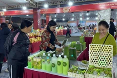 Người tiêu dùng tìm mua các sản phẩm phục vụ Tết tại chương trình.