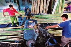 Làng nghề tre trúc Xuân Lai