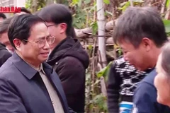 [Video] Hơn 2.500 tỷ đồng bổ sung tặng quà dịp Đại hội Đảng và Tết Nguyên đán