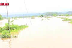 [Video] Hoàn thành công bố thiết kế mẫu nhà chống bão, lụt trước ngày 10/12