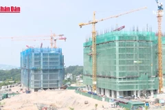 [Video] Nguy cơ dư chung cư cao cấp từ năm 2026