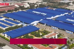 [Video] Hơn 2.600 công nhân Panko Vina lo mất việc khi Tết cận kề