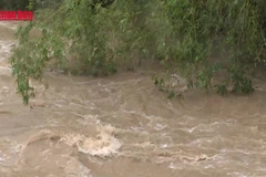 [Video] Trung Bộ đề phòng mưa lớn, lũ quét và sạt lở