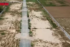 [Video] TP Hồ Chí Minh đề xuất giảm 20–25% giá đất nông nghiệp trong bảng giá mới