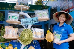 Sản phẩm dừa sáp của Hợp tác xã dừa sáp Hòa Tân, xã An Phú Tân, tỉnh Vĩnh Long đạt hạng OCOP 4 sao.
