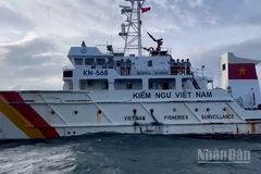 Đoàn tuần tra số 6, Chi cục Kiểm ngư Vùng 5 tuần tra trên biển.