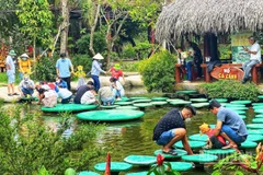 Du khách trải nghiệm các trò chơi dân gian tại các điểm du lịch trên địa bàn thành phố Cần Thơ.