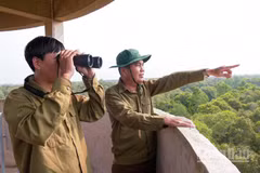 Lực lượng bảo vệ rừng ở Khu bảo tồn thiên nhiên Lung Ngọc Hoàng quan sát, kiểm tra phòng cháy, chữa cháy. 