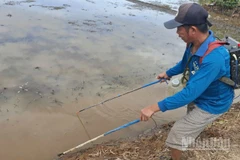 Một người dân dùng xung điện đánh bắt thủy sản tại phường Mỹ Phước Tây, tỉnh Đồng Tháp.