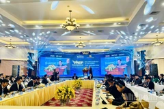 Diễn đàn thu hút đông đảo đại biểu trong nước và quốc tế tham dự. (Ảnh: HNV)