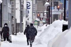 Tuyểt rơi dày ở Nhật bản. (Ảnh tư liệu: Kyodo/TTXVN)