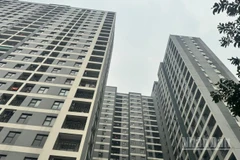 Xu hướng chủ yếu 2026 sẽ chuyển dịch mạnh sang đầu tư dài hạn thay vì đầu cơ lướt sóng. (Ảnh: HNV)