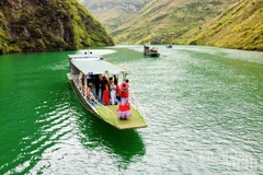 "Check-in" trên dòng Nho Quế biếc xanh.