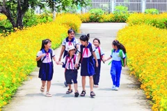 Đường hoa 521, ấp Bàu Chứa, xã Nhuận Đức rực rỡ sắc màu. (Ảnh VÕ LÊ)