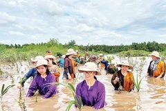Người dân đầu tư, phát triển du lịch sinh thái bên cù lao Lá (ấp Tân Quý, xã Mỹ Chánh Hòa, tỉnh Vĩnh Long).