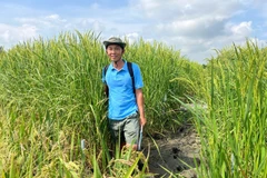 ThS Lê Thanh Phong, Phó Viện trưởng Biến đổi khí hậu, Trường đại học An Giang (Đại học Quốc gia Thành phố Hồ Chí Minh).